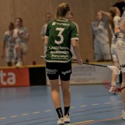 2025-01-12-Fristad-Pixbo_0033