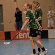 2025-01-12-Fristad-Pixbo_0034