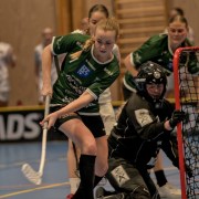 2025-01-12-Fristad-Pixbo_0035