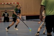 2025-01-12-Fristad-Pixbo_0036