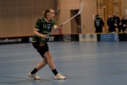 2025-01-12-Fristad-Pixbo_0037
