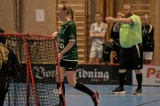 2025-01-12-Fristad-Pixbo_0039