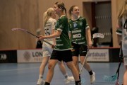 2025-01-12-Fristad-Pixbo_0040
