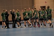 2025-01-12-Fristad-Pixbo_0041