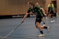 2025-01-12-Fristad-Pixbo_0003