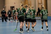 2025-01-21-Fristad-Alvstranden_0004