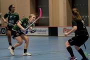 2025-01-21-Fristad-Alvstranden_0009