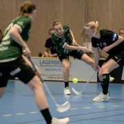 2025-01-21-Fristad-Alvstranden_0010