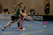 2025-01-21-Fristad-Alvstranden_0012