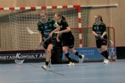 2025-01-21-Fristad-Alvstranden_0017