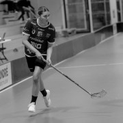 2025-01-21-Fristad-Alvstranden_0022