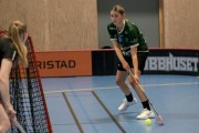 2025-01-21-Fristad-Alvstranden_0023