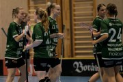 2025-01-21-Fristad-Alvstranden_0025