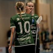 2025-01-21-Fristad-Alvstranden_0039