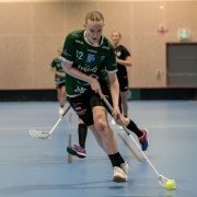 2025-01-21-Fristad-Alvstranden_0040