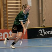 2025-01-21-Fristad-Alvstranden_0041