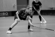 2025-01-21-Fristad-Alvstranden_0048