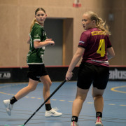 2025-02-17-Fristad-Eken_0001