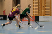 2025-02-17-Fristad-Eken_0002