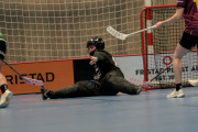 2025-02-17-Fristad-Eken_0004