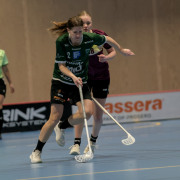 2025-02-17-Fristad-Eken_0005