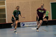 2025-02-17-Fristad-Eken_0009