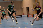 2025-02-17-Fristad-Eken_0011