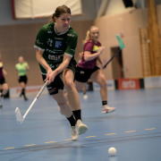 2025-02-17-Fristad-Eken_0012