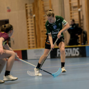 2025-02-17-Fristad-Eken_0015