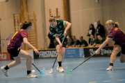 2025-02-17-Fristad-Eken_0016
