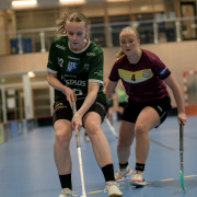 2025-02-17-Fristad-Eken_0017