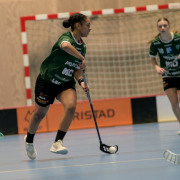 2025-02-17-Fristad-Eken_0018