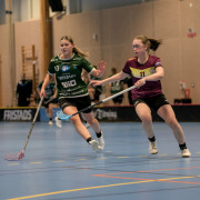 2025-02-17-Fristad-Eken_0019