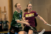 2025-02-17-Fristad-Eken_0020