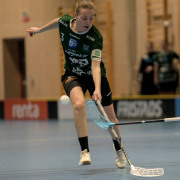 2025-02-17-Fristad-Eken_0021