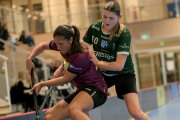 2025-02-17-Fristad-Eken_0022
