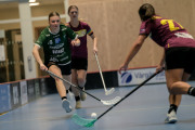 2025-02-17-Fristad-Eken_0023