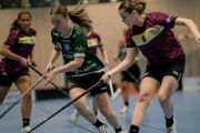 2025-02-17-Fristad-Eken_0024