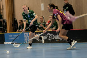 2025-02-17-Fristad-Eken_0025