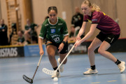 2025-02-17-Fristad-Eken_0027