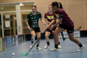 2025-02-17-Fristad-Eken_0028