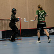 2025-02-17-Fristad-Eken_0029