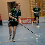 2025-02-17-Fristad-Eken_0030