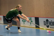 2025-02-17-Fristad-Eken_0031