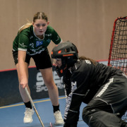 2025-02-17-Fristad-Eken_0033
