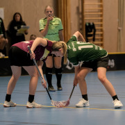 2025-02-17-Fristad-Eken_0035