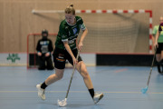 2025-02-17-Fristad-Eken_0040