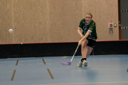 2025-02-17-Fristad-Eken_0042
