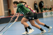 2025-02-17-Fristad-Eken_0043