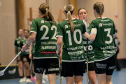2025-02-17-Fristad-Eken_0047